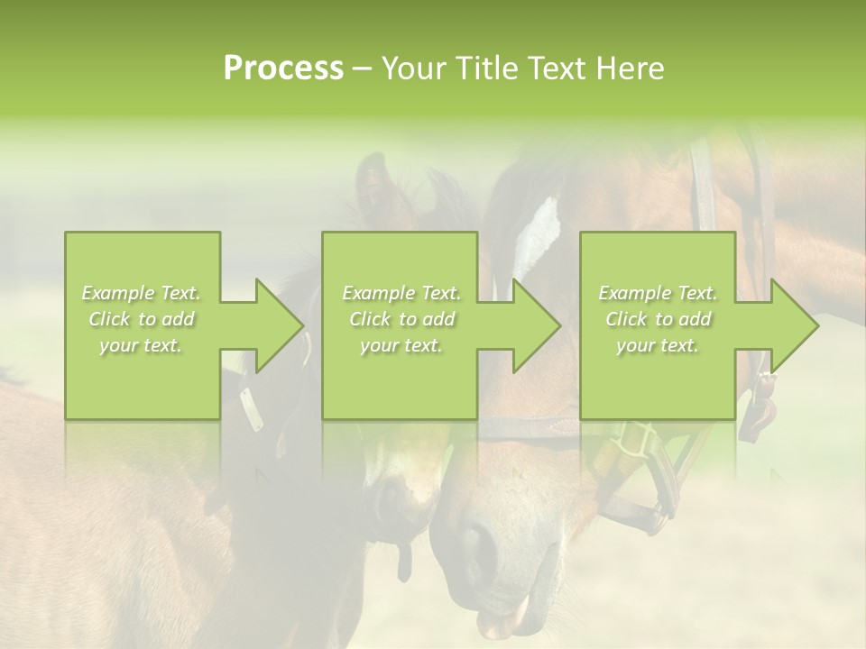 Captured Snuggle Spontanious PowerPoint Template