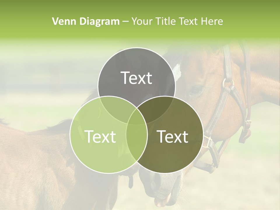 Captured Snuggle Spontanious PowerPoint Template