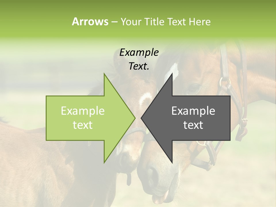 Captured Snuggle Spontanious PowerPoint Template