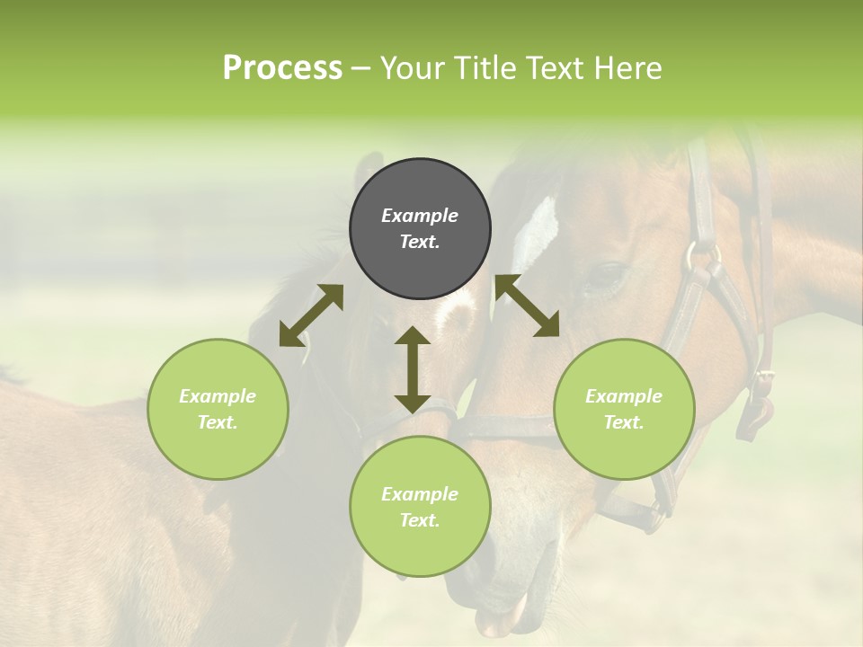 Captured Snuggle Spontanious PowerPoint Template