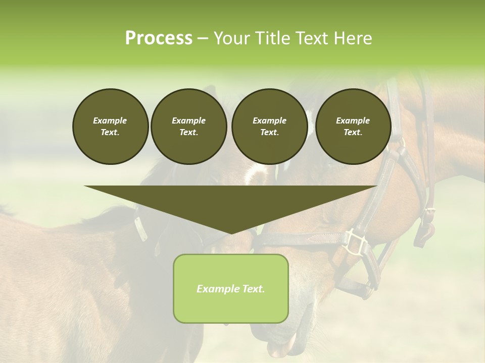 Captured Snuggle Spontanious PowerPoint Template