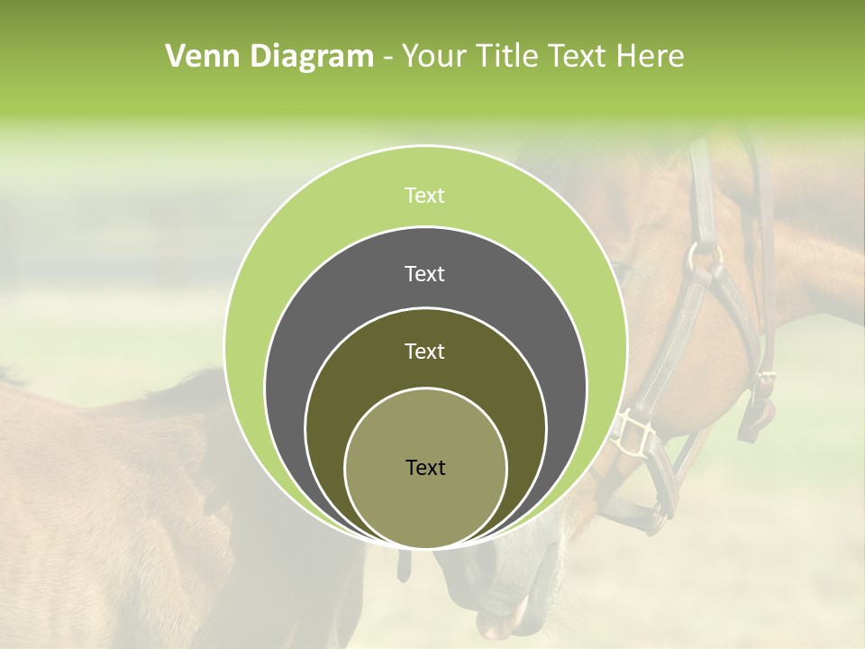 Captured Snuggle Spontanious PowerPoint Template