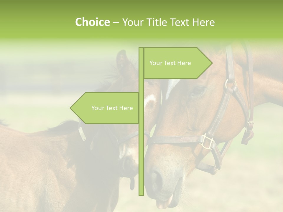 Captured Snuggle Spontanious PowerPoint Template