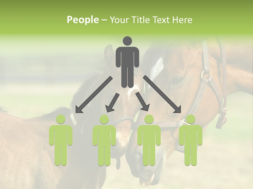 Captured Snuggle Spontanious PowerPoint Template