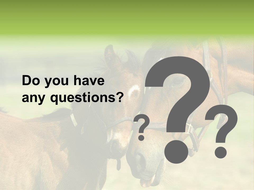 Captured Snuggle Spontanious PowerPoint Template