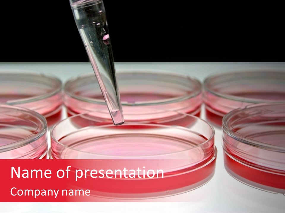Research Petri Biotechnology PowerPoint Template