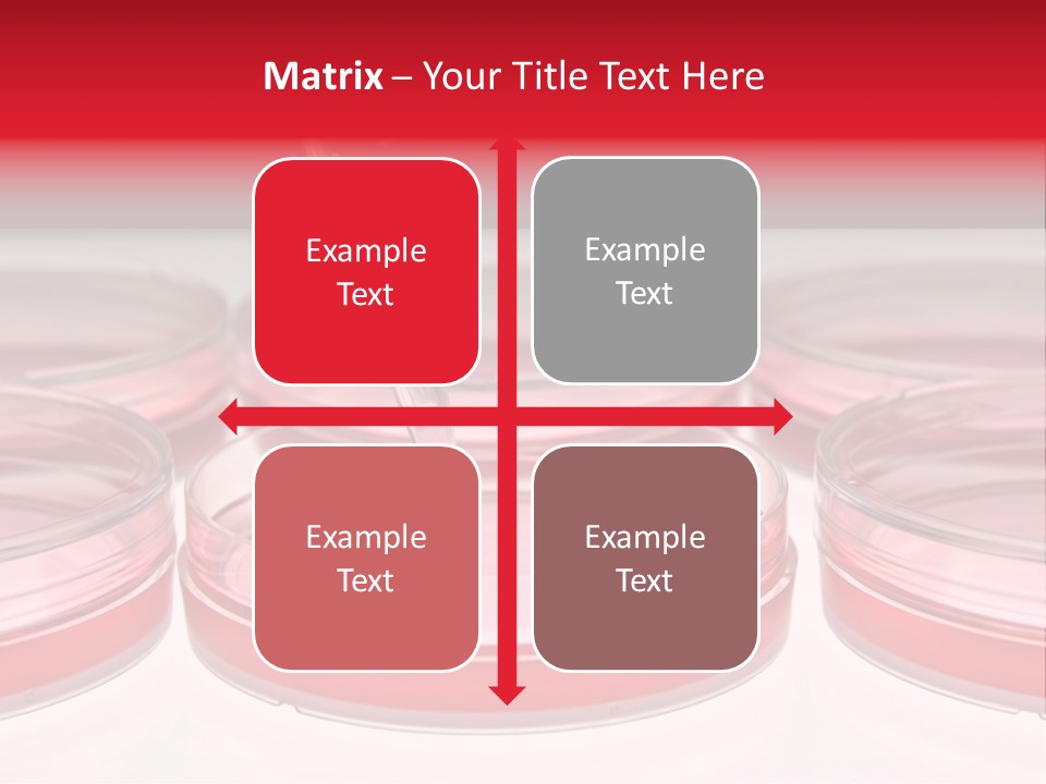 Research Petri Biotechnology PowerPoint Template