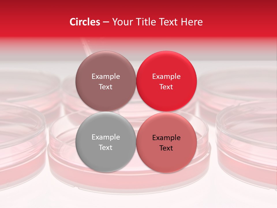 Research Petri Biotechnology PowerPoint Template