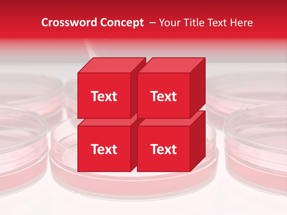 Research Petri Biotechnology PowerPoint Template
