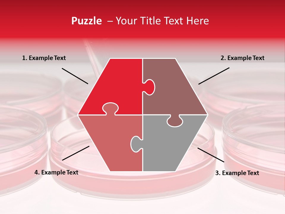 Research Petri Biotechnology PowerPoint Template