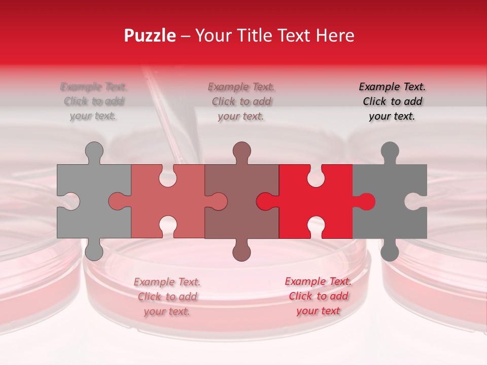 Research Petri Biotechnology PowerPoint Template