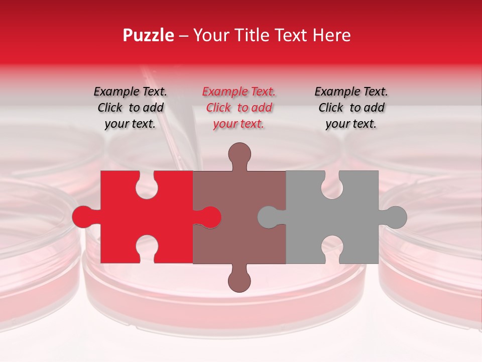 Research Petri Biotechnology PowerPoint Template