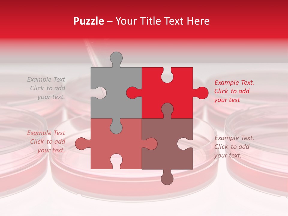 Research Petri Biotechnology PowerPoint Template