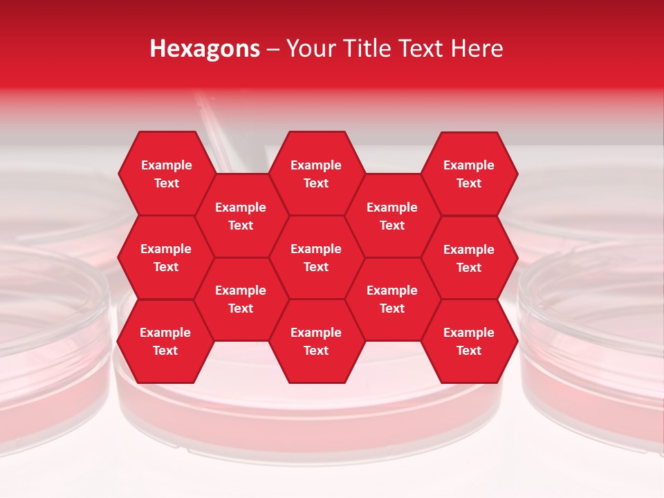 Research Petri Biotechnology PowerPoint Template