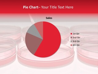 Research Petri Biotechnology PowerPoint Template