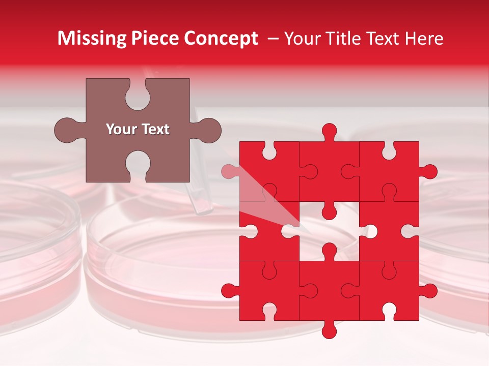 Research Petri Biotechnology PowerPoint Template