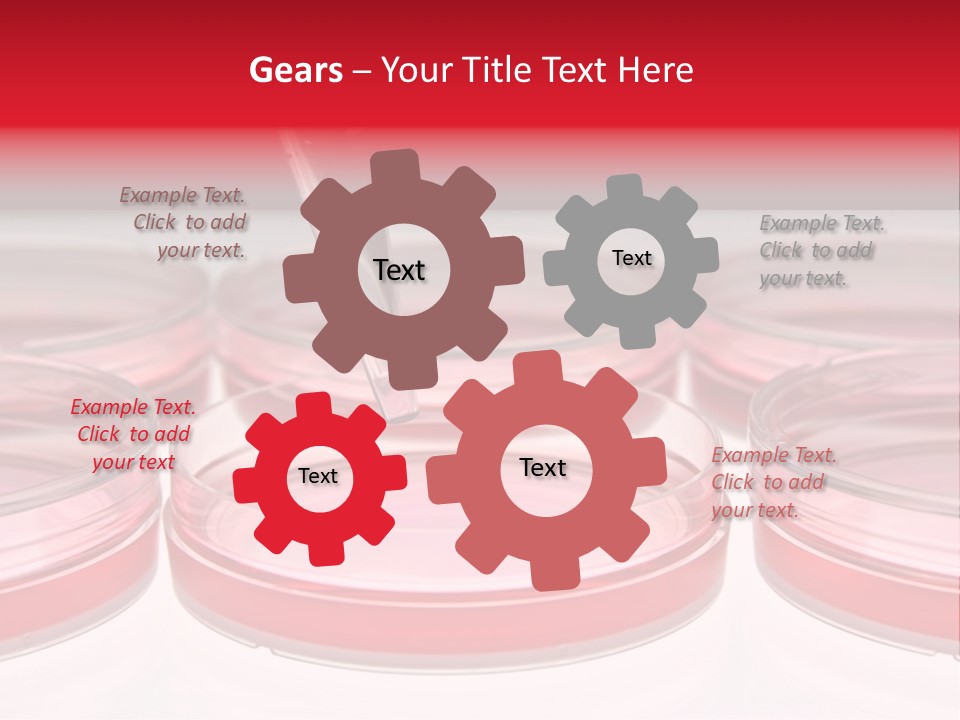 Research Petri Biotechnology PowerPoint Template