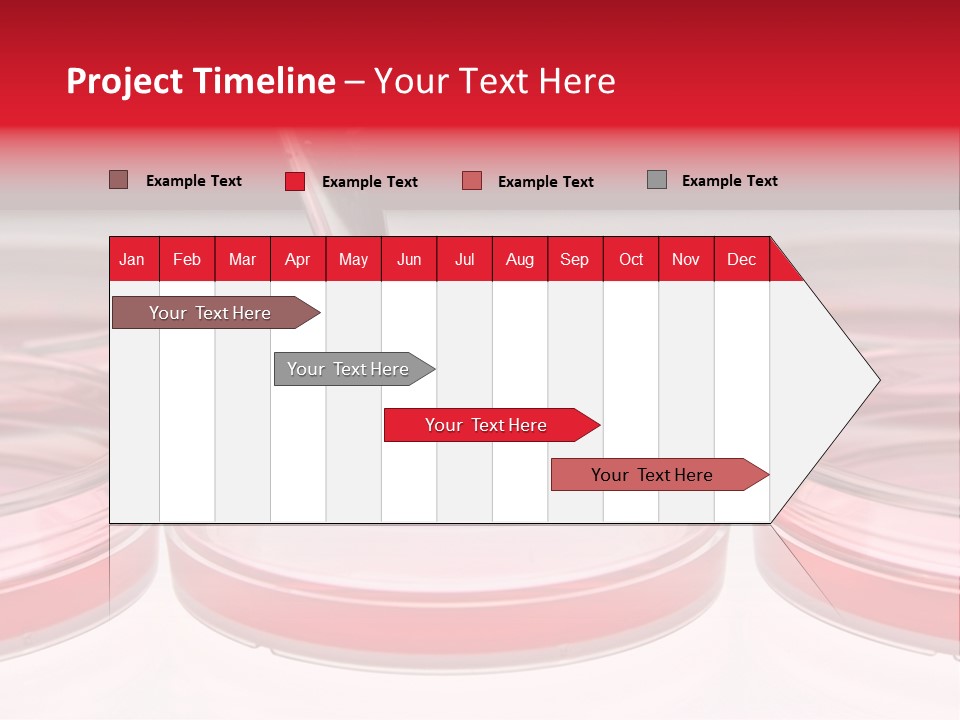 Research Petri Biotechnology PowerPoint Template