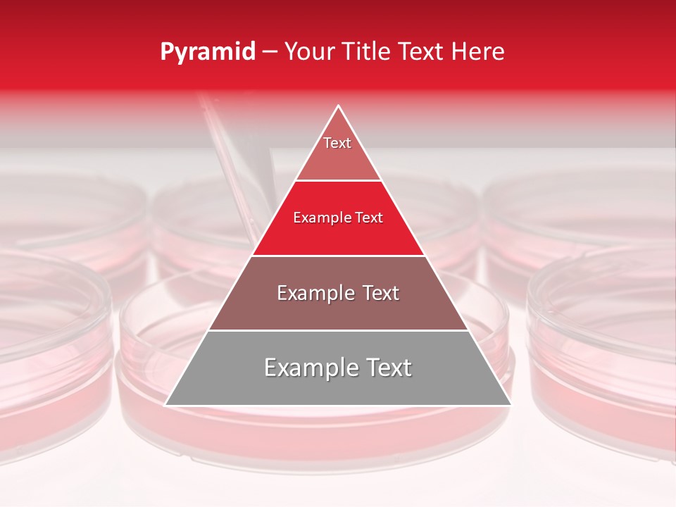 Research Petri Biotechnology PowerPoint Template