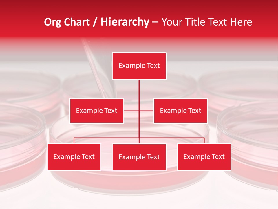 Research Petri Biotechnology PowerPoint Template