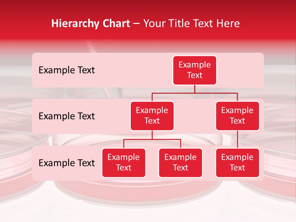 Research Petri Biotechnology PowerPoint Template