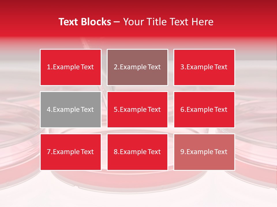 Research Petri Biotechnology PowerPoint Template