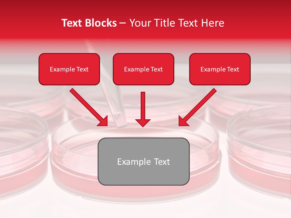 Research Petri Biotechnology PowerPoint Template
