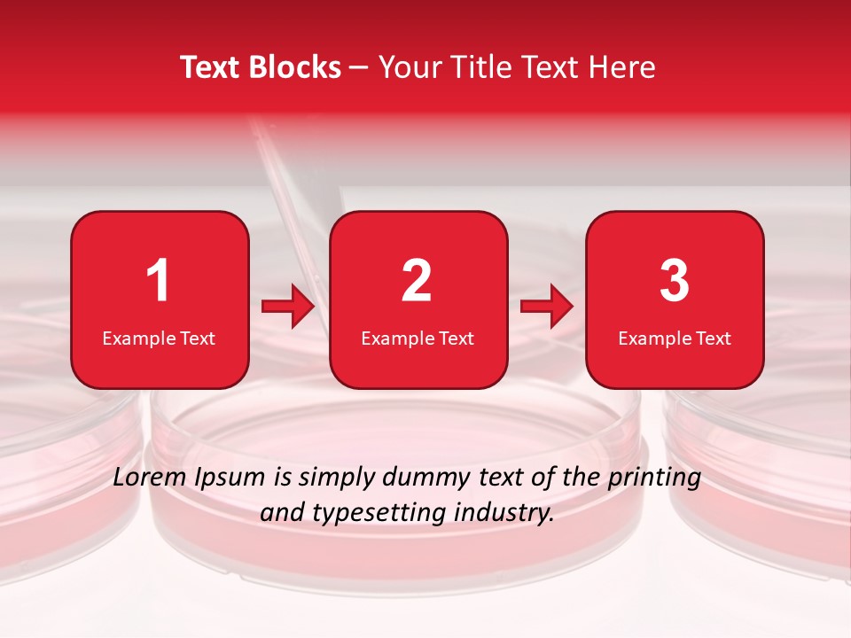 Research Petri Biotechnology PowerPoint Template