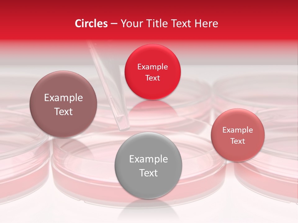 Research Petri Biotechnology PowerPoint Template