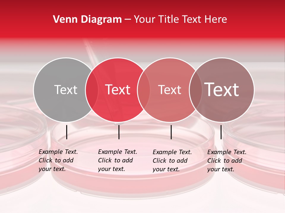 Research Petri Biotechnology PowerPoint Template