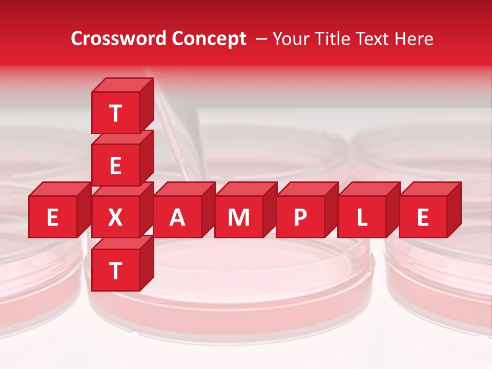 Research Petri Biotechnology PowerPoint Template