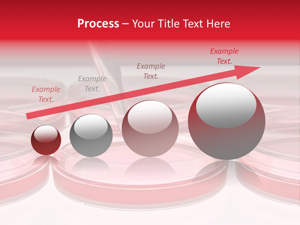 Research Petri Biotechnology PowerPoint Template
