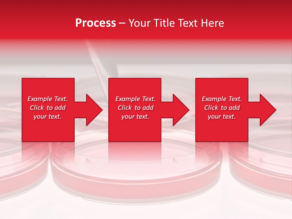Research Petri Biotechnology PowerPoint Template