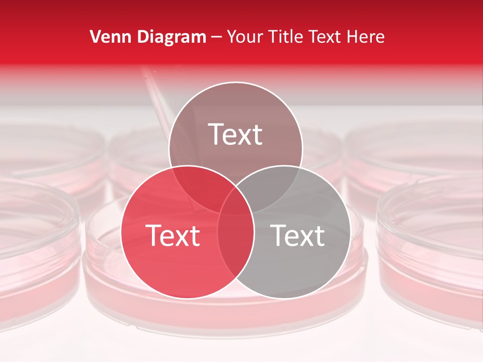 Research Petri Biotechnology PowerPoint Template