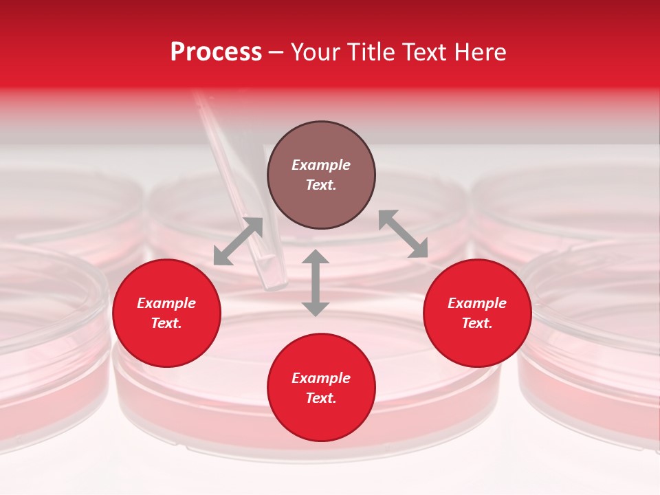 Research Petri Biotechnology PowerPoint Template