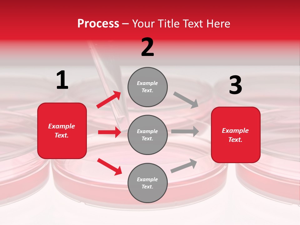 Research Petri Biotechnology PowerPoint Template