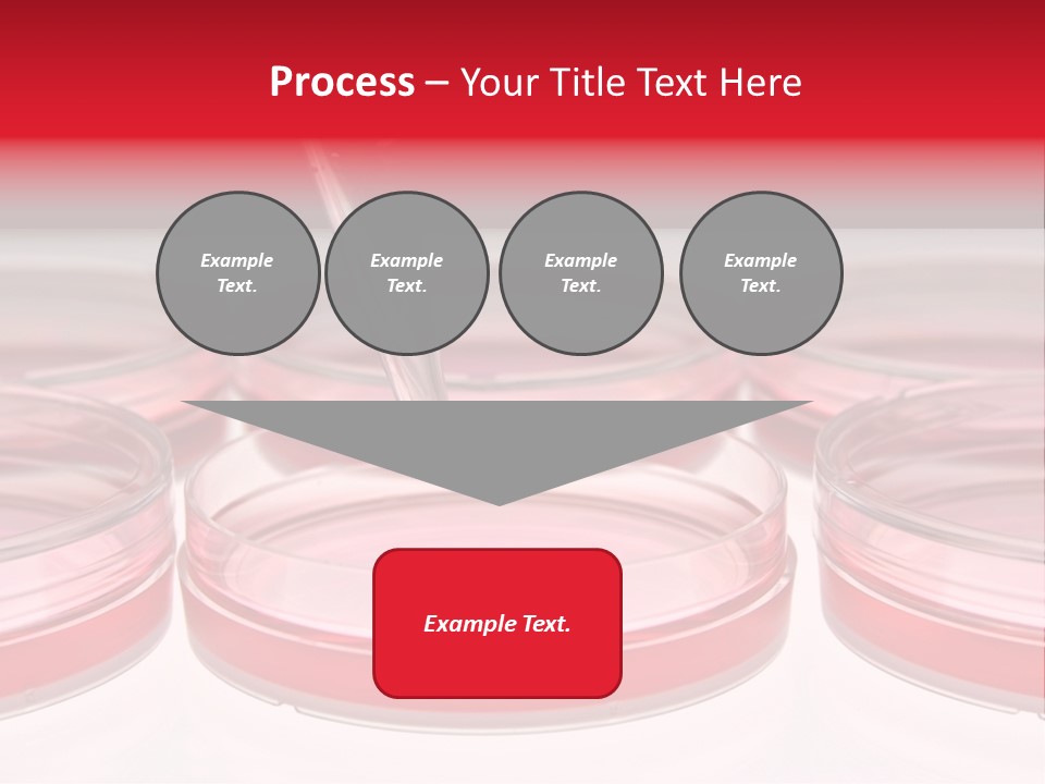 Research Petri Biotechnology PowerPoint Template