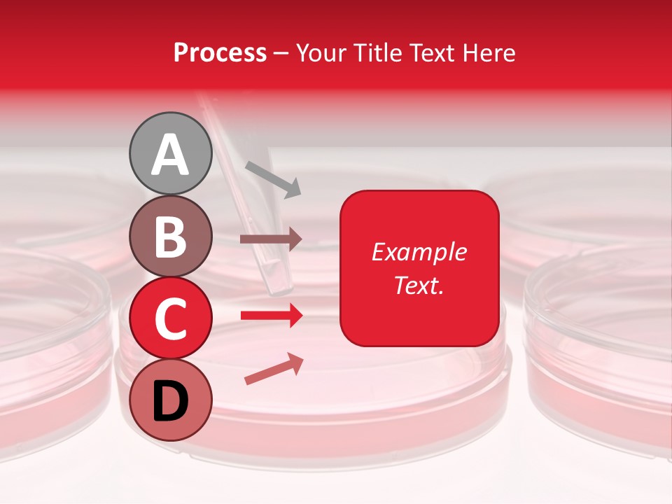 Research Petri Biotechnology PowerPoint Template