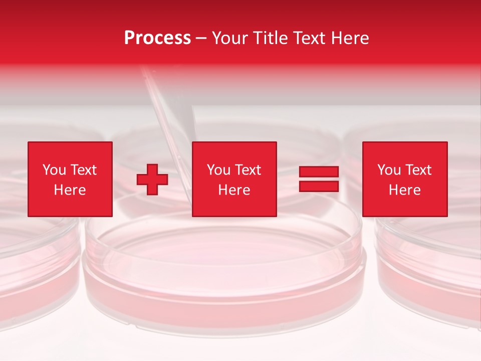 Research Petri Biotechnology PowerPoint Template