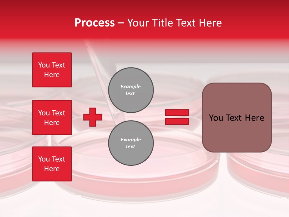 Research Petri Biotechnology PowerPoint Template