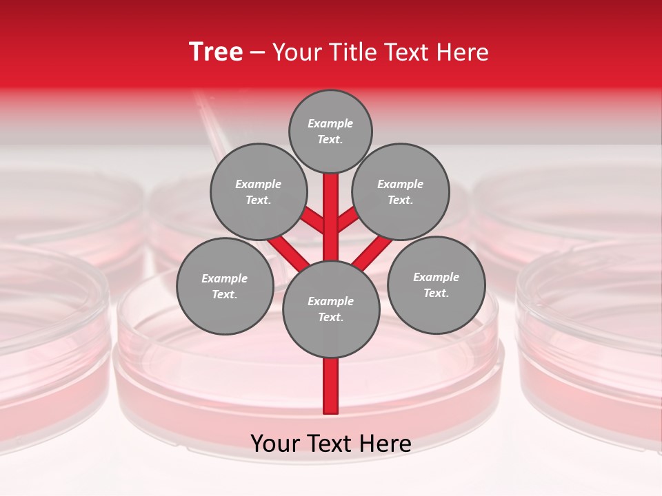 Research Petri Biotechnology PowerPoint Template