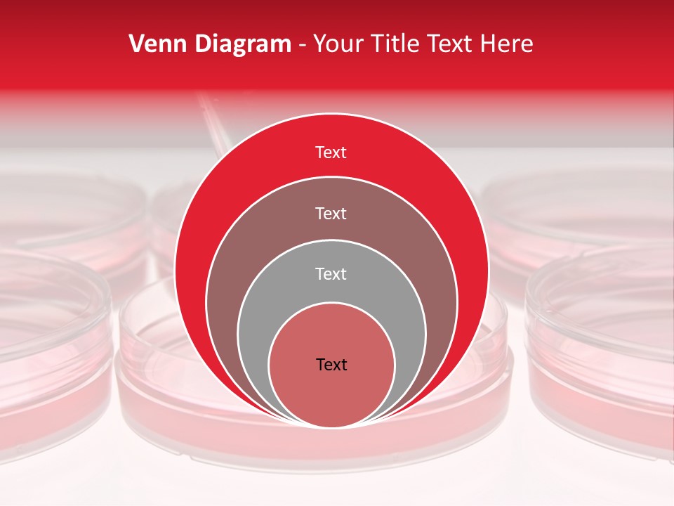 Research Petri Biotechnology PowerPoint Template