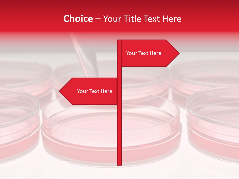 Research Petri Biotechnology PowerPoint Template