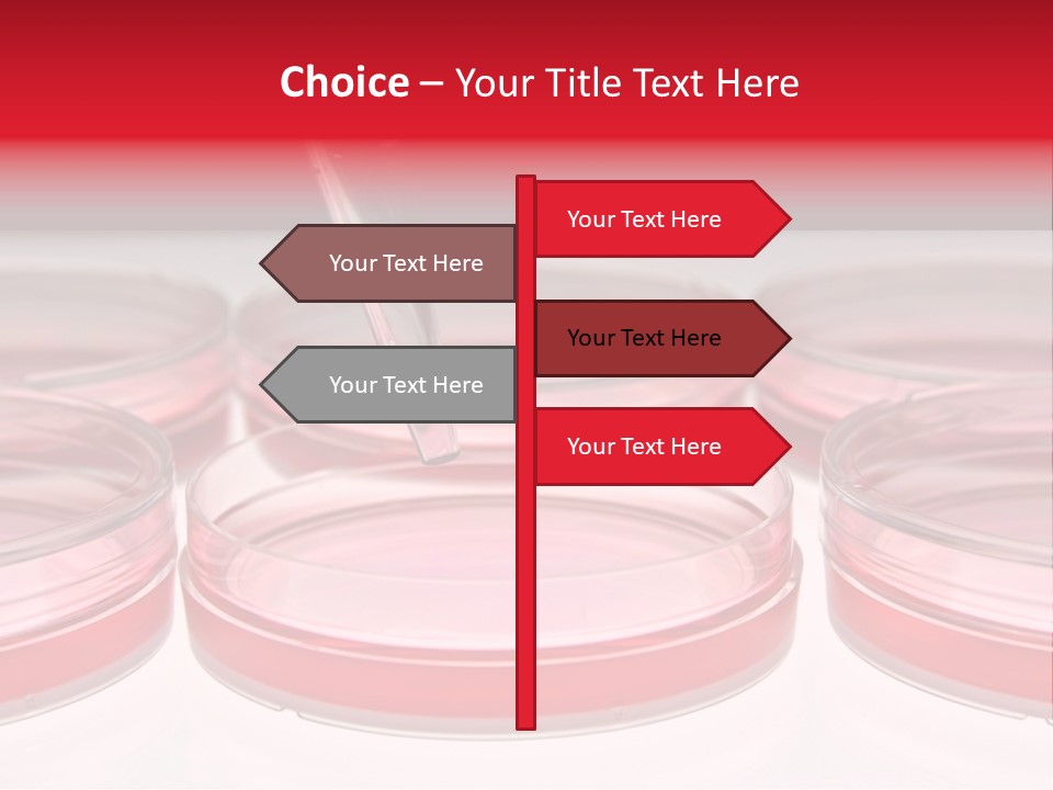 Research Petri Biotechnology PowerPoint Template