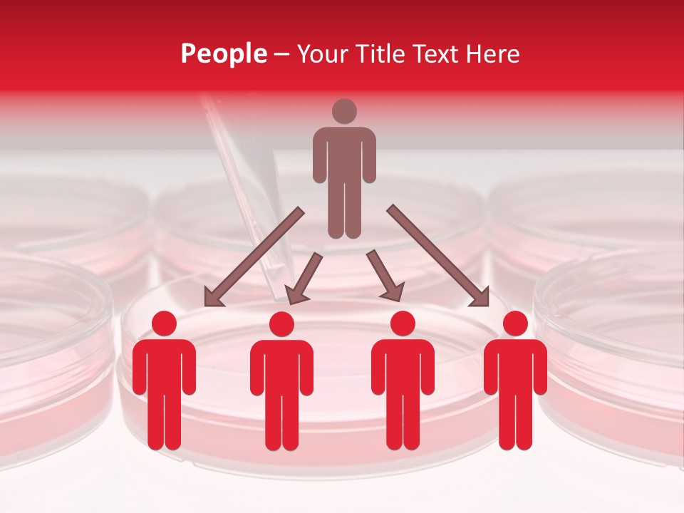 Research Petri Biotechnology PowerPoint Template