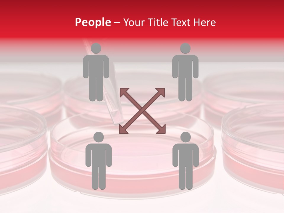 Research Petri Biotechnology PowerPoint Template