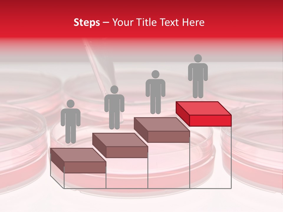 Research Petri Biotechnology PowerPoint Template