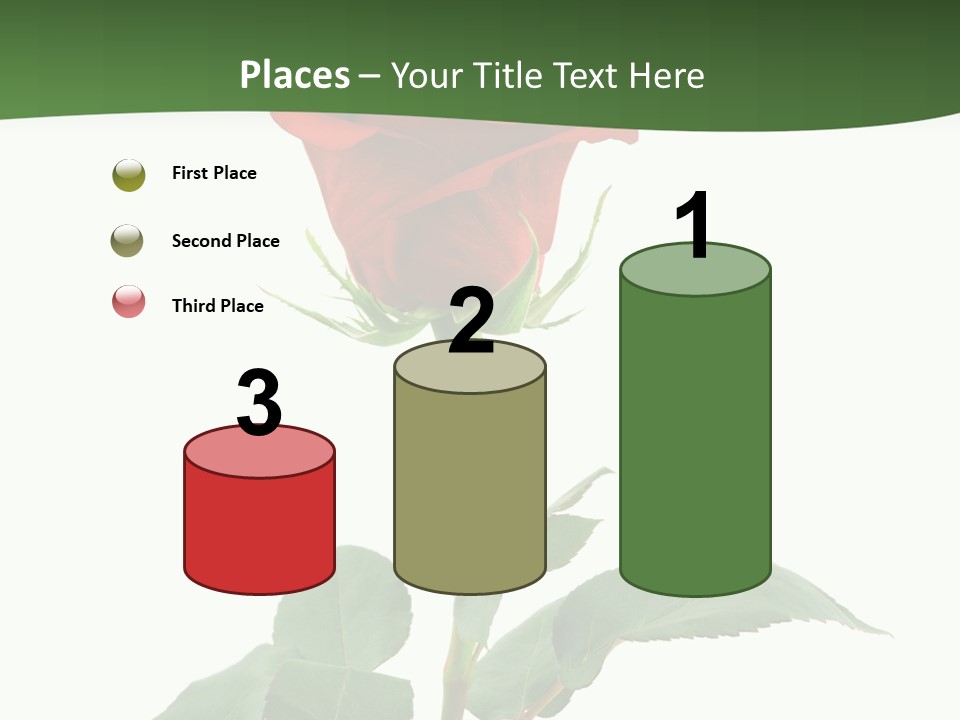 Rose Color Decoration PowerPoint Template