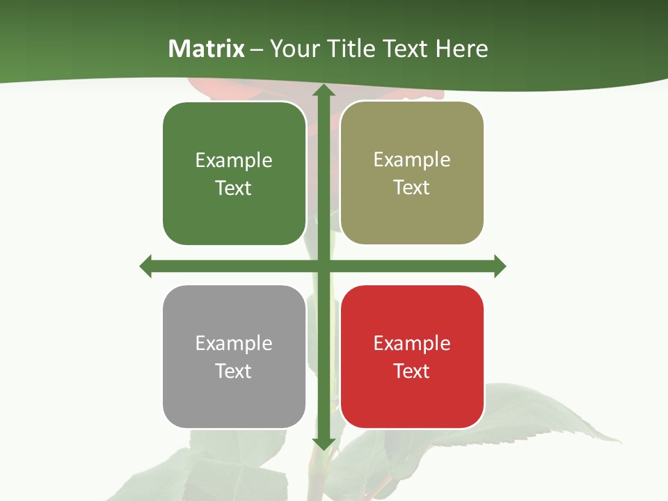 Rose Color Decoration PowerPoint Template