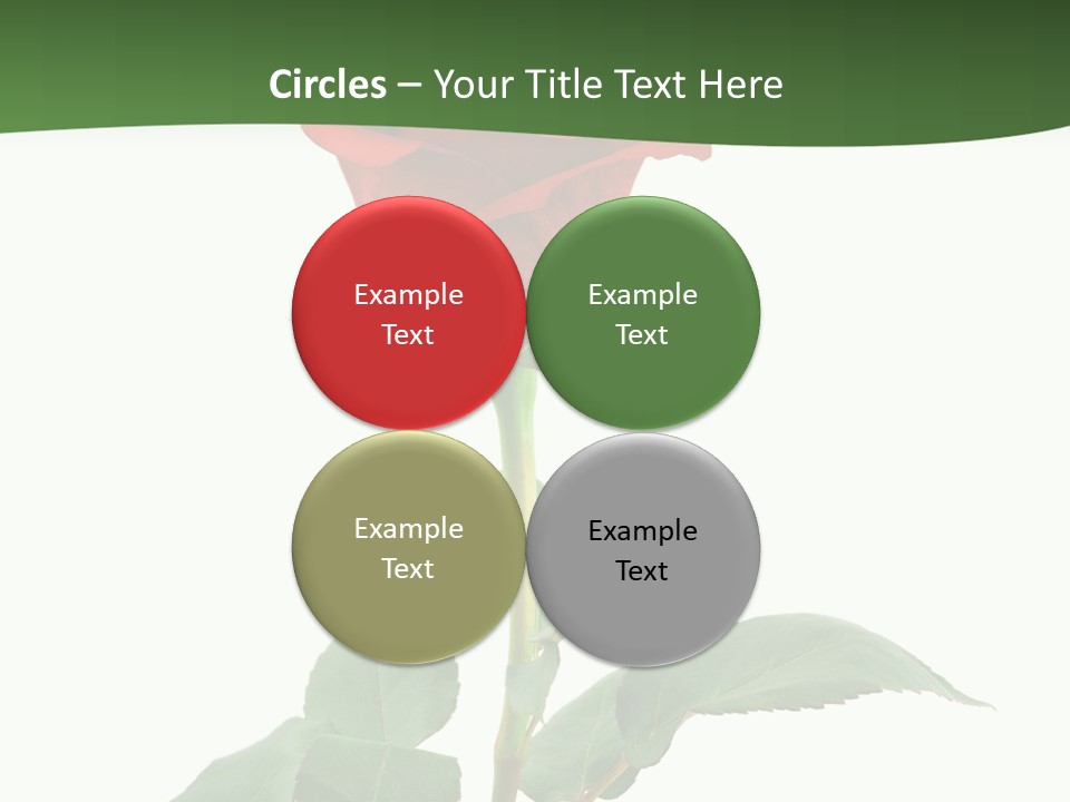 Rose Color Decoration PowerPoint Template